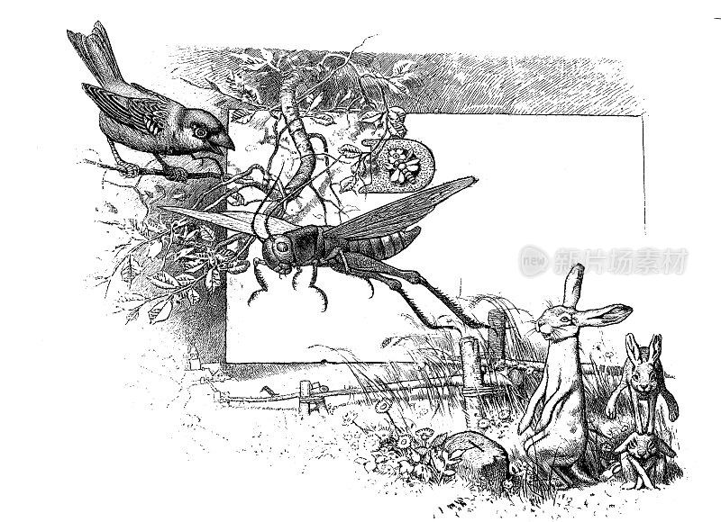 复活节风景与鸟，野兔和蚱蜢- 1896